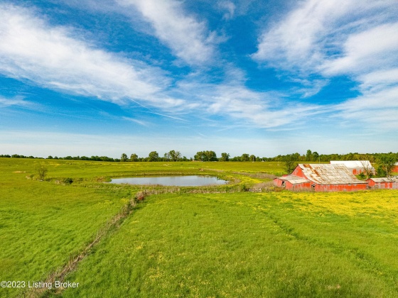 100 Clifty Rd, Leitchfield, Kentucky 42754, ,Land,For Sale,Clifty,1636148