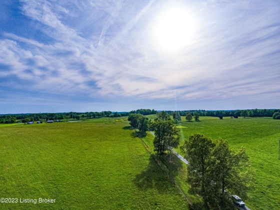 100 Clifty Rd, Leitchfield, Kentucky 42754, ,Land,For Sale,Clifty,1636148