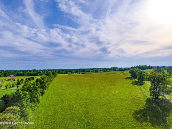 100 Clifty Rd, Leitchfield, Kentucky 42754, ,Land,For Sale,Clifty,1636148