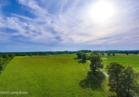 100 Clifty Rd, Leitchfield, Kentucky 42754, ,Land,For Sale,Clifty,1636148