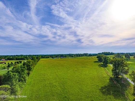 100 Clifty Rd, Leitchfield, Kentucky 42754, ,Land,For Sale,Clifty,1636148