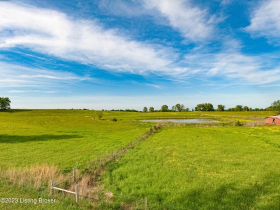 100 Clifty Rd, Leitchfield, Kentucky 42754, ,Land,For Sale,Clifty,1636148