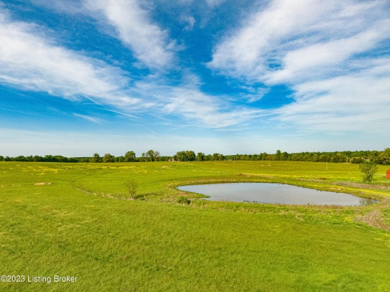 100 Clifty Rd, Leitchfield, Kentucky 42754, ,Land,For Sale,Clifty,1636148