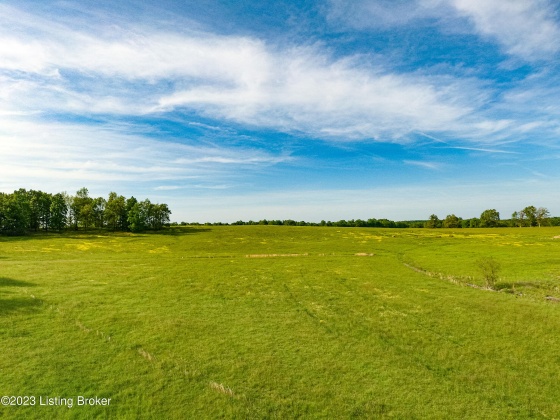 100 Clifty Rd, Leitchfield, Kentucky 42754, ,Land,For Sale,Clifty,1636148