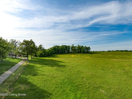 100 Clifty Rd, Leitchfield, Kentucky 42754, ,Land,For Sale,Clifty,1636148