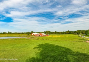 100 Clifty Rd, Leitchfield, Kentucky 42754, ,Land,For Sale,Clifty,1636148