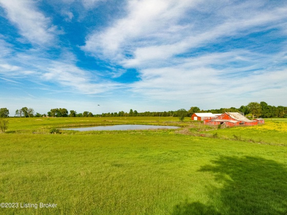 100 Clifty Rd, Leitchfield, Kentucky 42754, ,Land,For Sale,Clifty,1636148