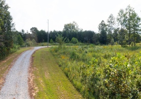 LOT 1 GUNNER Rd, Clarkson, Kentucky 42726, ,Land,For Sale,GUNNER,1636882