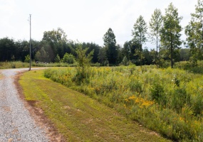 LOT 1 GUNNER Rd, Clarkson, Kentucky 42726, ,Land,For Sale,GUNNER,1636882