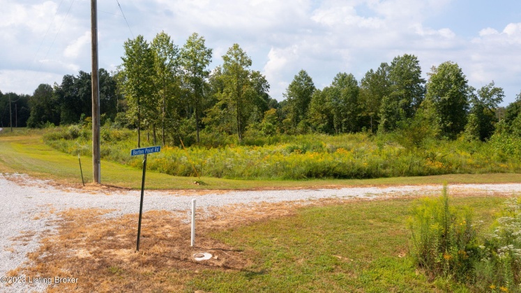 LOT 1 GUNNER Rd, Clarkson, Kentucky 42726, ,Land,For Sale,GUNNER,1636882