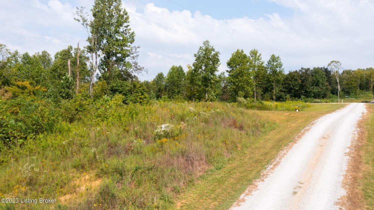 LOT 1 GUNNER Rd, Clarkson, Kentucky 42726, ,Land,For Sale,GUNNER,1636882