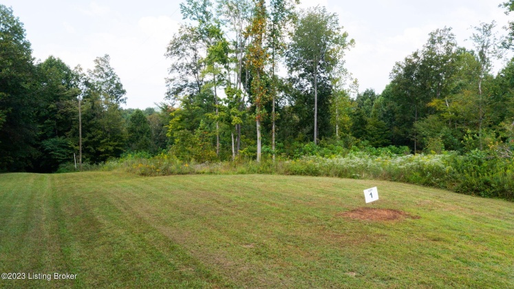 LOT 1 GUNNER Rd, Clarkson, Kentucky 42726, ,Land,For Sale,GUNNER,1636882