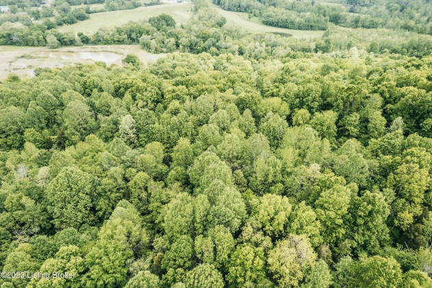 Lot 495 Hog Knob Dr, Falls Of Rough, Kentucky 40119, ,Land,For Sale,Hog Knob,1637423