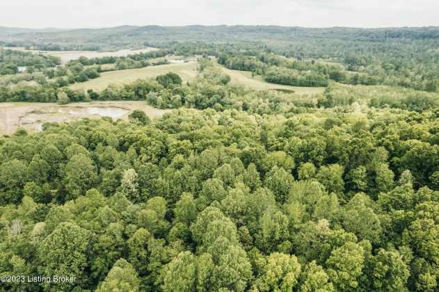 Lot 495 Hog Knob Dr, Falls Of Rough, Kentucky 40119, ,Land,For Sale,Hog Knob,1637423