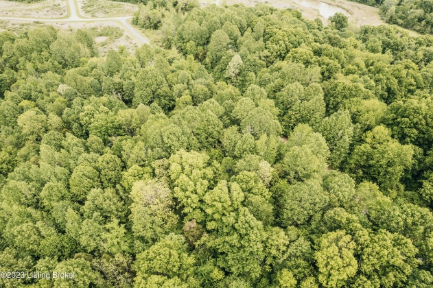 Lot 495 Hog Knob Dr, Falls Of Rough, Kentucky 40119, ,Land,For Sale,Hog Knob,1637423