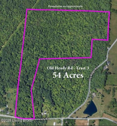 Tract 3 Old Heady Rd, Louisville, Kentucky 40299, ,Land,For Sale,Old Heady,1637642