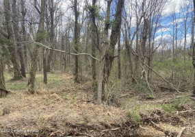 11250 Bearcamp Rd, Louisville, Kentucky 40272, ,Land,For Sale,Bearcamp,1609296