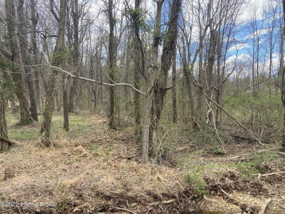 11250 Bearcamp Rd, Louisville, Kentucky 40272, ,Land,For Sale,Bearcamp,1609296