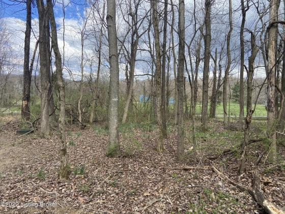 11250 Bearcamp Rd, Louisville, Kentucky 40272, ,Land,For Sale,Bearcamp,1609296