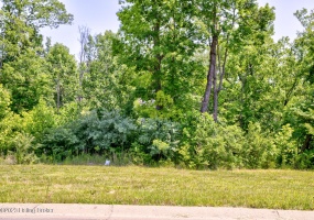 0 Hidden Falls Dr, Mt Washington, Kentucky 40047, ,Land,For Sale,Hidden Falls,1638581