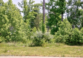 0 Hidden Falls Dr, Mt Washington, Kentucky 40047, ,Land,For Sale,Hidden Falls,1638581