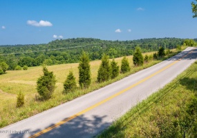 17187 Hwy 690, Custer, Kentucky 40115, ,Land,For Sale,Hwy 690,1640493