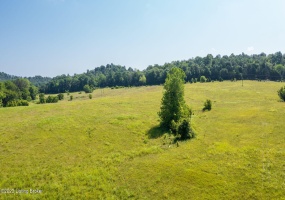 17187 Hwy 690, Custer, Kentucky 40115, ,Land,For Sale,Hwy 690,1640493