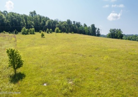 17187 Hwy 690, Custer, Kentucky 40115, ,Land,For Sale,Hwy 690,1640493