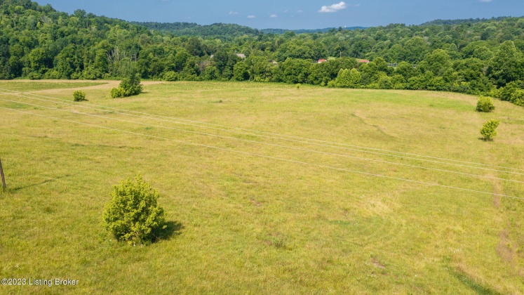 17187 Hwy 690, Custer, Kentucky 40115, ,Land,For Sale,Hwy 690,1640493