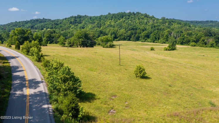 17187 Hwy 690, Custer, Kentucky 40115, ,Land,For Sale,Hwy 690,1640493