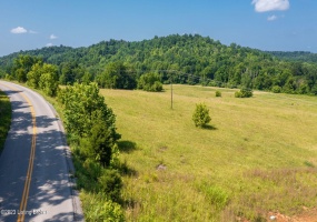 17187 Hwy 690, Custer, Kentucky 40115, ,Land,For Sale,Hwy 690,1640493