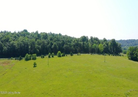 17187 Hwy 690, Custer, Kentucky 40115, ,Land,For Sale,Hwy 690,1640493