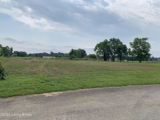 02 Deep Springs Dr, Bardstown, Kentucky 40004, ,Land,For Sale,Deep Springs,1641304