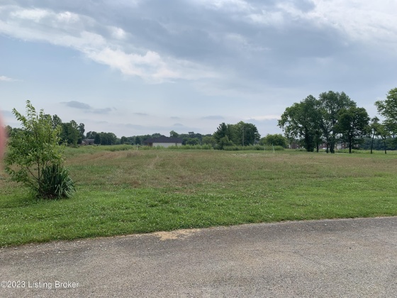 02 Deep Springs Dr, Bardstown, Kentucky 40004, ,Land,For Sale,Deep Springs,1641304