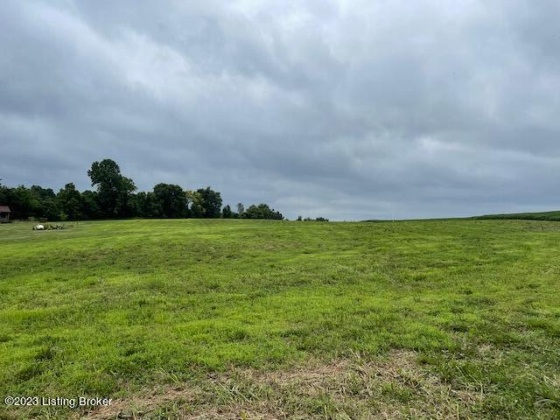 6600 Old Zaring Rd, Crestwood, Kentucky 40014, ,Land,For Sale,Old Zaring,1641342