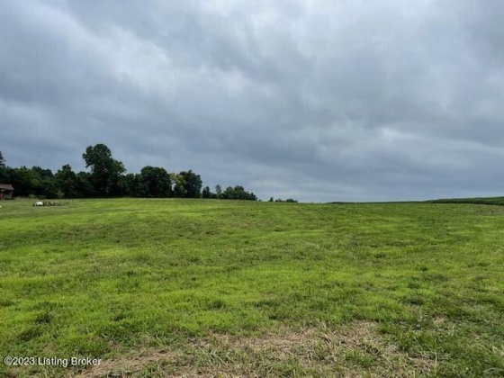 6600 Old Zaring Rd, Crestwood, Kentucky 40014, ,Land,For Sale,Old Zaring,1641342