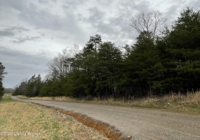 0 Canyon Run Rd, Lewisburg, Kentucky 42256, ,Land,For Sale,Canyon Run,1641419