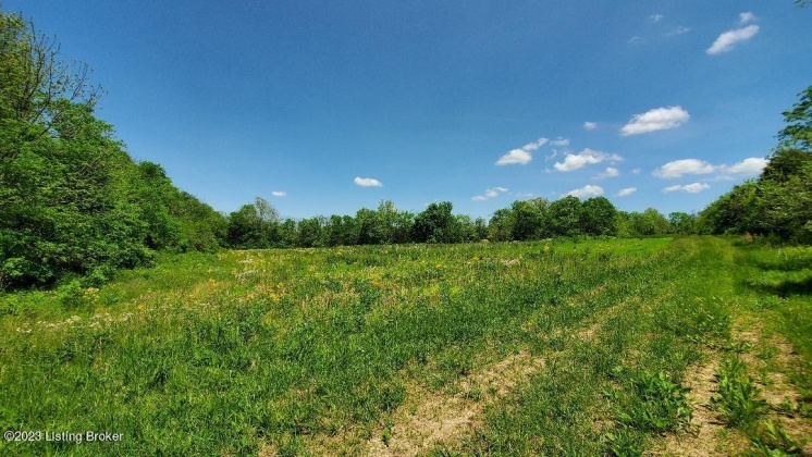 22 Acres Hwy 22, Smithfield, Kentucky 40068, ,Land,For Sale,Hwy 22,1642607