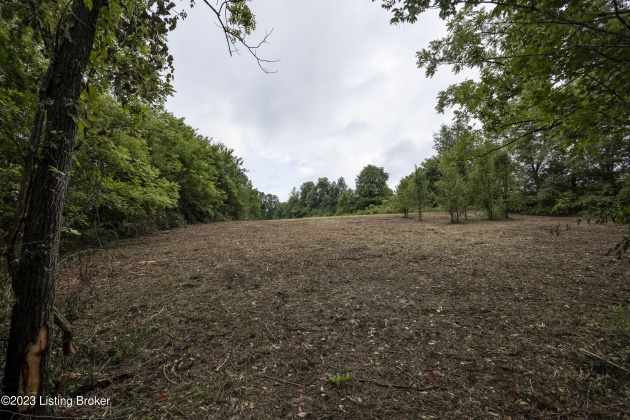 4571 Hwy 22, Smithfield, Kentucky 40068, ,Land,For Sale,Hwy 22,1642674