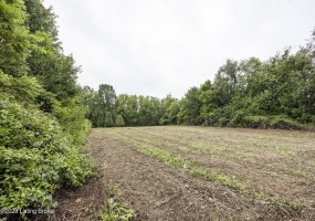 4571 Hwy 22, Smithfield, Kentucky 40068, ,Land,For Sale,Hwy 22,1642674