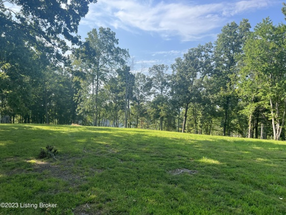 879 Indian Valley Rd, Falls Of Rough, Kentucky 40119, ,Land,For Sale,Indian Valley,1642796