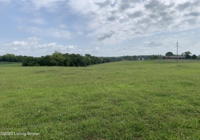 400 Tract4 Chaplin Taylorsville Rd, Bloomfield, Kentucky 40008, ,Land,For Sale,Chaplin Taylorsville,1643188