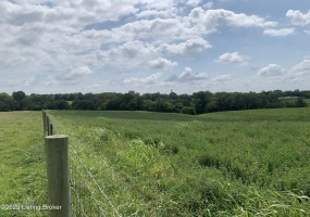 400 Tract6 Chaplin Taylorsville Rd, Bloomfield, Kentucky 40008, ,Land,For Sale,Chaplin Taylorsville,1643191