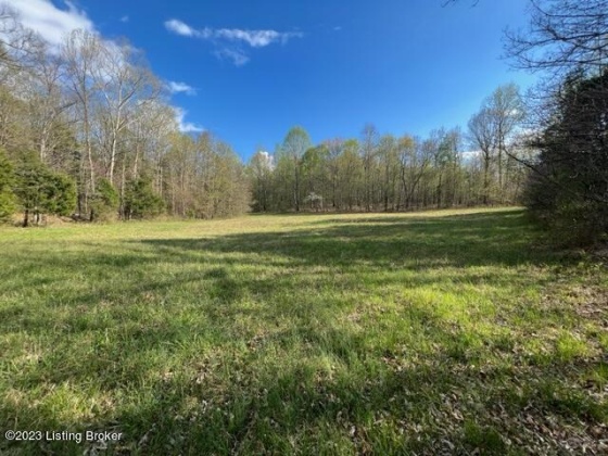 0 Eight Mile Ln, Greenville, Kentucky 42345, ,Land,For Sale,Eight Mile,1643194