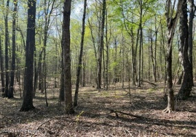 0 Eight Mile Ln, Greenville, Kentucky 42345, ,Land,For Sale,Eight Mile,1643194