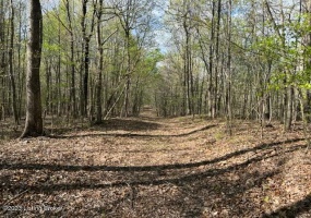 0 Eight Mile Ln, Greenville, Kentucky 42345, ,Land,For Sale,Eight Mile,1643194