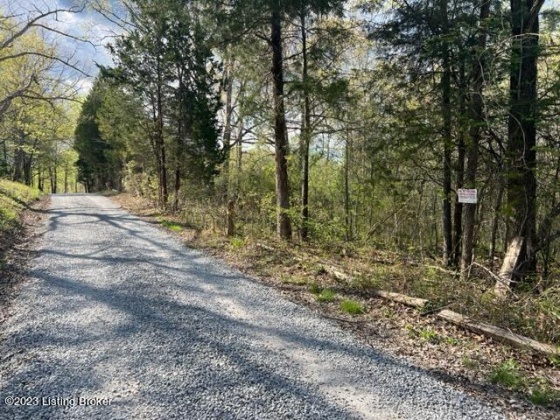 0 Eight Mile Ln, Greenville, Kentucky 42345, ,Land,For Sale,Eight Mile,1643194