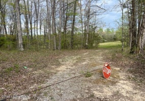 0 Eight Mile Ln, Greenville, Kentucky 42345, ,Land,For Sale,Eight Mile,1643194