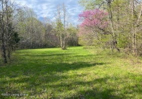 0 Eight Mile Ln, Greenville, Kentucky 42345, ,Land,For Sale,Eight Mile,1643194