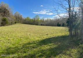 0 Eight Mile Ln, Greenville, Kentucky 42345, ,Land,For Sale,Eight Mile,1643194